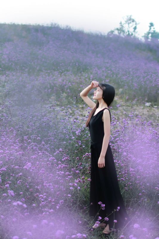 清纯美女薰衣草花田高清写真