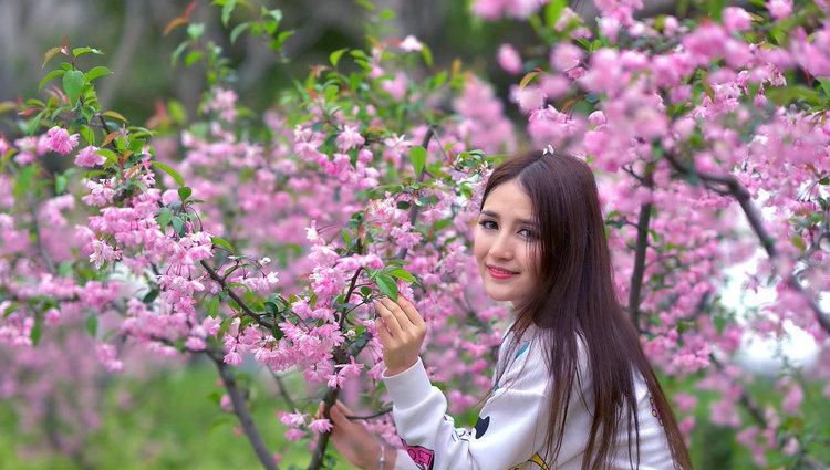 清纯美女户外花丛唯美写照