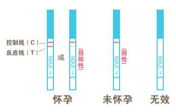 验孕试纸的正确使用方法
